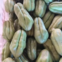 老瓜，种瓜，佛手瓜种子