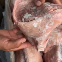 后肘