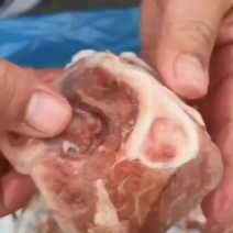 去皮小肘子