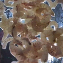 博贺渔港精品大麻虾仁赤米虾仁云吞虾滑虾饼规格本地最新日期有货