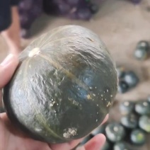 南瓜
