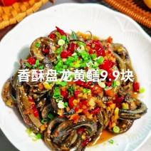 香酥盘龙鳝黄鳝鱼商用冷冻半成品酒店特色菜预制菜食材