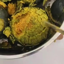 爆粉贝贝南瓜，大量有现货