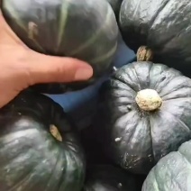 好货天天有