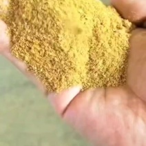 玉米酒糟DDGS