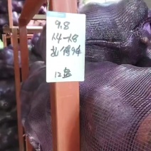 你好老板我有贝贝南瓜大量现货，价格便宜