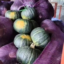 你好老板我有贝贝南瓜大量现货，价格便宜