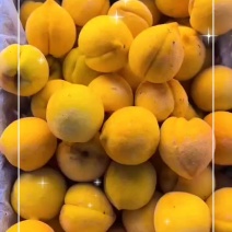 晚熟品种黄桃出园了