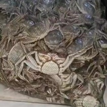 母多