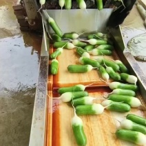 水果萝卜