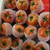 普罗旺斯西红柿