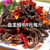 盘龙鳝9.9元每斤，7天吃5顿！！！长沙打工人的家庭食堂