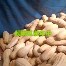 南瓜