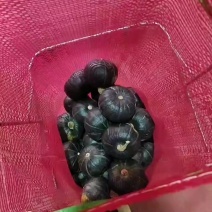 靓货6-9