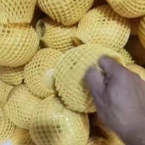 秋月梨！高次，质量很好！口感很好！