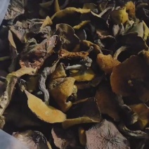 松蘑，粘团子，粘窝子，烤干秋板