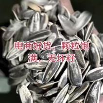 电商好货，颗粒饱满，无坏籽