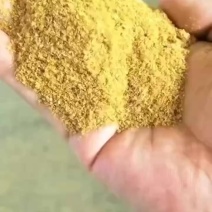 玉米酒糟