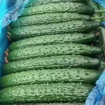 精品黄瓜