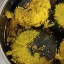 爆粉贝贝南瓜