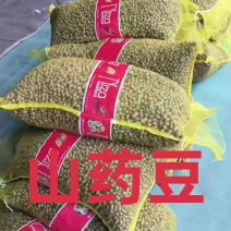 山药豆电商山药豆山东山药豆口感好品质保障价格实惠大量供货