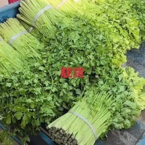 产地直供，保质保量。田园看货，地头装车。纯正精品，