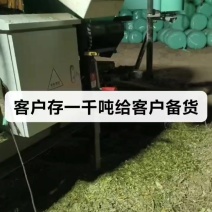 河北玉米秸秆，黄储