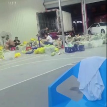 度尾文旦柚供应链
