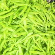 黄皮尖椒