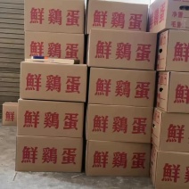长期供应红蛋