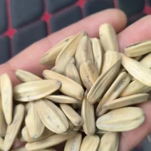 打手瓜子电商货脱皮瓜子