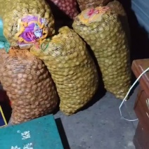 核桃