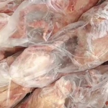 原粮6-7两半净膛A级鸽子7000-8000只
