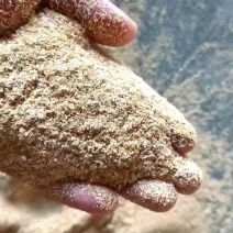 靓糠发货，量大从优，欢迎提货