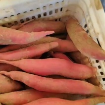 纯沙地西瓜红货好价格低有要的联系自产自销经理