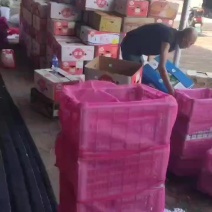 鸡心果