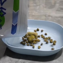 猫粮