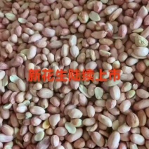 花生米
