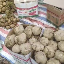 一天可以出10万斤