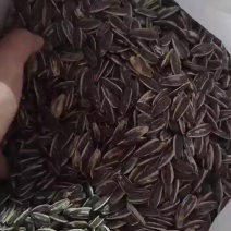 黑皮原味瓜子大颗粒电商通用货可聊