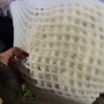 大量上市青梗松花菜