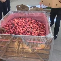 鸡心果大量下树