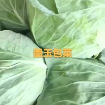 包菜