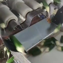 水果萝卜