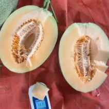 哈密瓜
