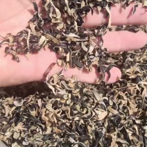 电商用木耳丝碎木耳丝1-2公分短木耳丝便宜木耳丝足干木耳