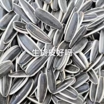 内蒙巴盟临河葵花籽同6，361千粒180-220