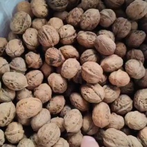 大凉山薄皮干核桃25年新货无烟熏天然核桃吃得放心