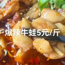 爆辣牛蛙，五元每斤，手工现做湖南娄底麻辣即食牛蛙辣卤全鸡