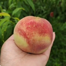 水果甜桃蜜桃